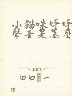 小猫咪呼呼呼的声音是怎么了