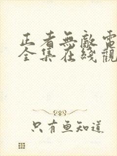 正者无敌电视剧全集在线观看免费