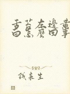 舌苔左边黄右边白怎么回事