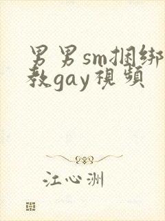 男男sm捆绑调教gay视频