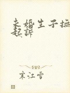 未婚生子抚养权起诉