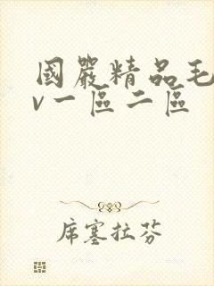 国严精品毛片av一区二区