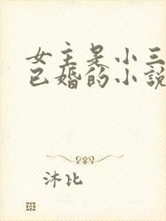 女主是小三男主已婚的小说推荐
