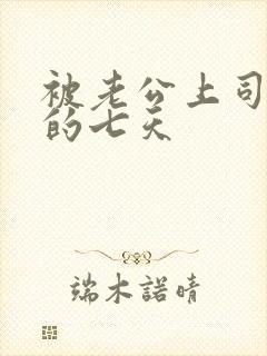 被老公上司侵犯的七天封面