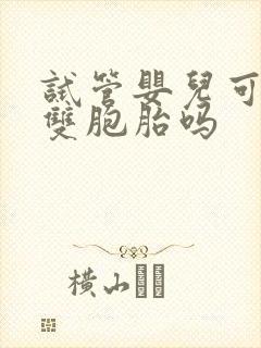 试管婴儿可以是双胞胎吗封面