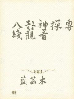 八卦神探粤语在线观看封面