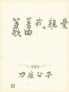 等着我亲爱的人歌曲