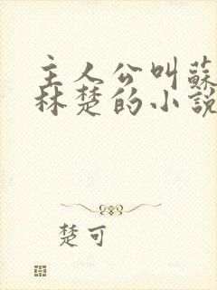 主人公叫苏彻,林楚的小说名字