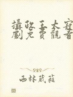 摄政王太宠了短剧免费观看