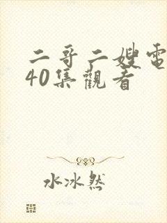 二哥二嫂电视剧40集观看封面