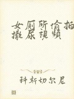 女厕所偷拍女人撒尿视频