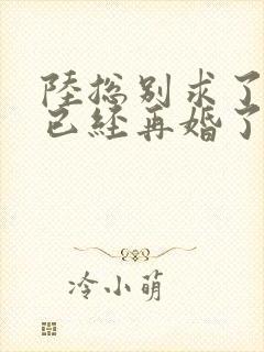 陆总别求了夫人已经再婚了短剧封面