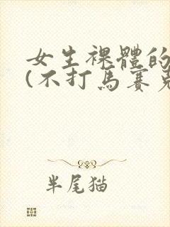 女生裸体的照片(不打马赛克)封面