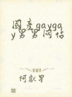 国产gaygay男男网站