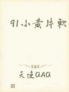 91小黄片软件