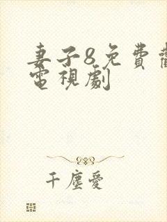 妻子8免费观看电视剧