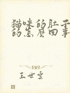 猫咪的肚子软软的怎么回事