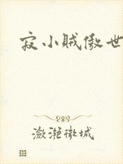 寂小贼傲世丹神