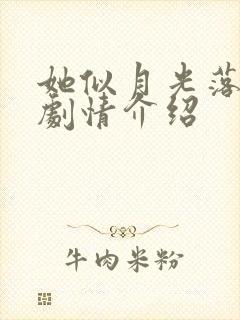 她似月光落我心剧情介绍封面