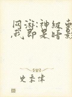 网游:神级刺客,我即是暗影封面