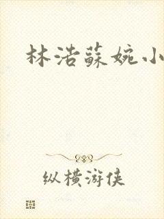 林浩苏婉小说