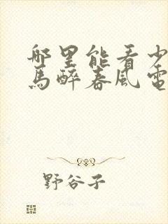 哪里能看少年白马醉春风电视剧