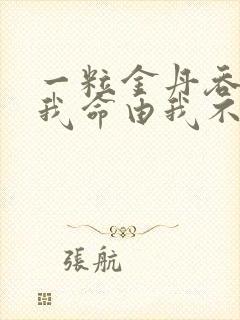 一粒金丹吞入腹我命由我不由天