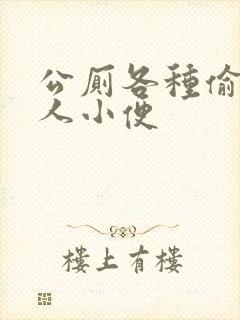 公厕各种偷拍女人小便