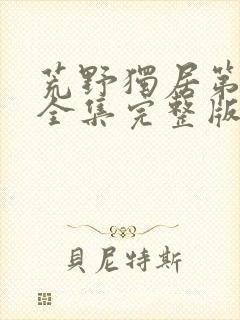 荒野独居第六季全集完整版封面