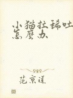 小猫拉稀吐黄水怎么办