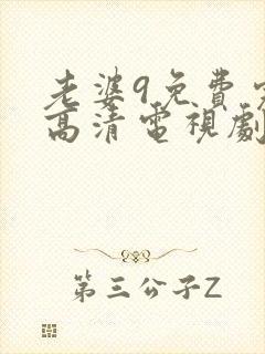 老婆9免费完整高清电视剧在线