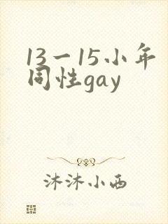 13一15小年同性gay封面