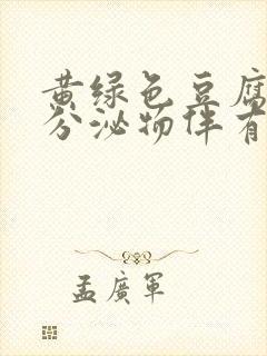 黄绿色豆腐渣样分泌物伴有瘙痒