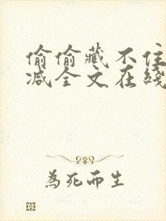 偷偷藏不住无删减全文在线阅读封面