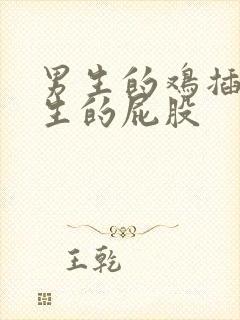 男生的鸡插入女生的屁股