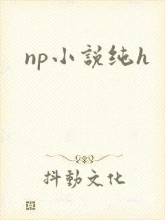 np小说纯h