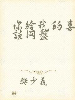 你给我的喜欢小说网盘