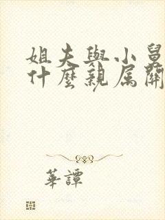 姐夫与小舅子是什么亲属关系