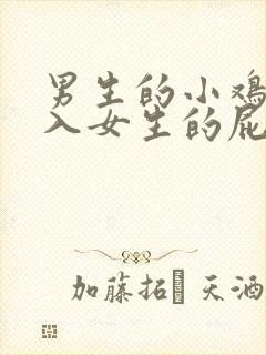 男生的小鸡鸡插入女生的屁股视频