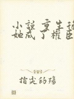 小说 重生后,她成了权臣黑月光封面