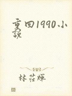 重回1990小说