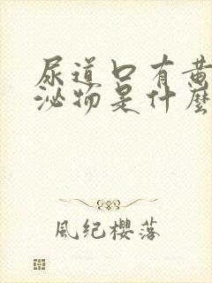 尿道口有黄色分泌物是什么病