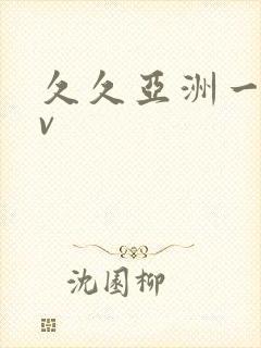 久久亚洲一区av