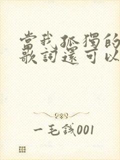 当我孤独的时候歌词还可以抱着你歌词