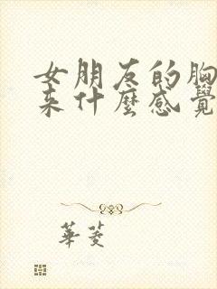 女朋友的胸摸起来什么感觉