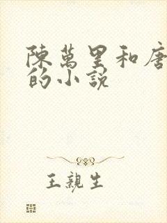 陈万里和唐嫣然的小说