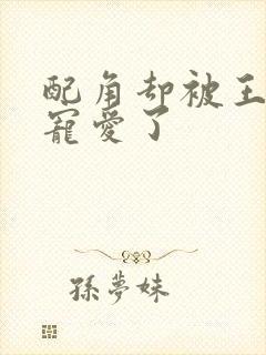 配角却被王子给宠爱了封面