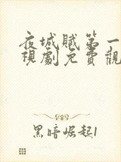 夜城赋第一季电视剧免费观看封面