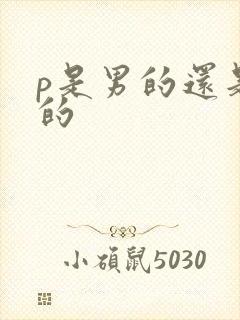 p是男的还是女的