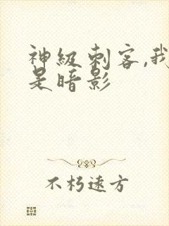 神级刺客,我即是暗影